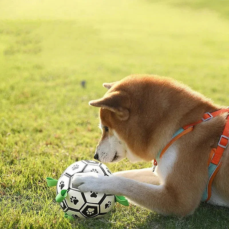Palla Resistente per Cani con Maniglie da Tiro – Gioco Interattivo