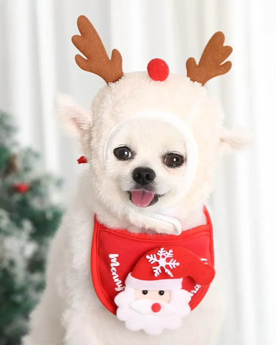 Costume Natalizio per Cani – Abbigliamento Festivo di Natale